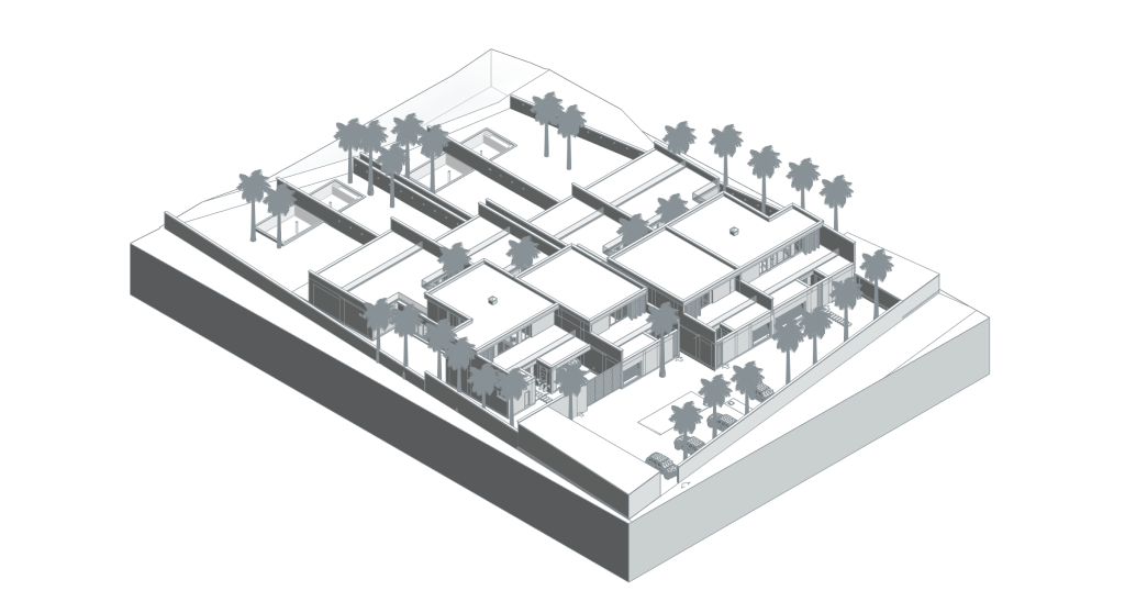 Naseem House — gerçek Revit geometrisinden soluk aksonometrik görünüş.